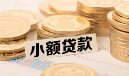 东莞27空放-东莞27个人短借-东莞27身份证小额贷款