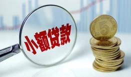 东莞27哪里可以小额贷款-东莞27哪里有民间借贷-东莞27民间短期私借借款