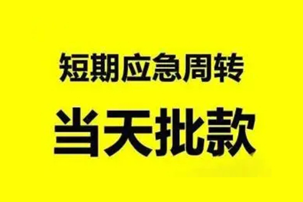 东莞27小额贷款公司